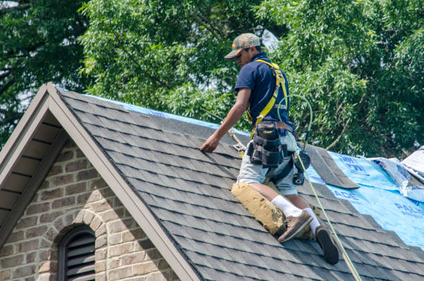 Best Roof Gutter Cleaning  in Grafton, WI